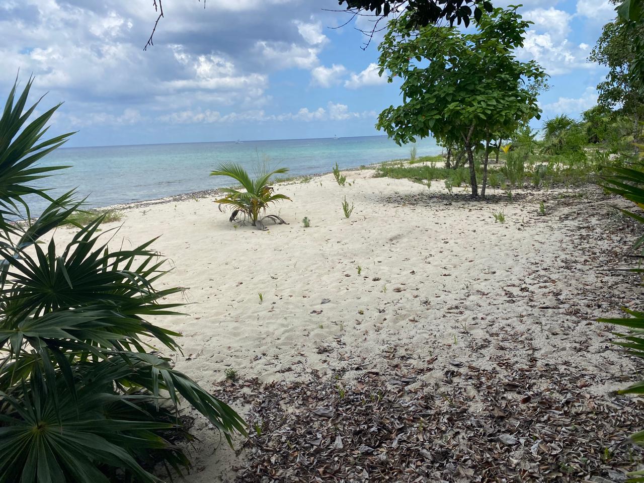 Lote 1 en la playa Palancar.