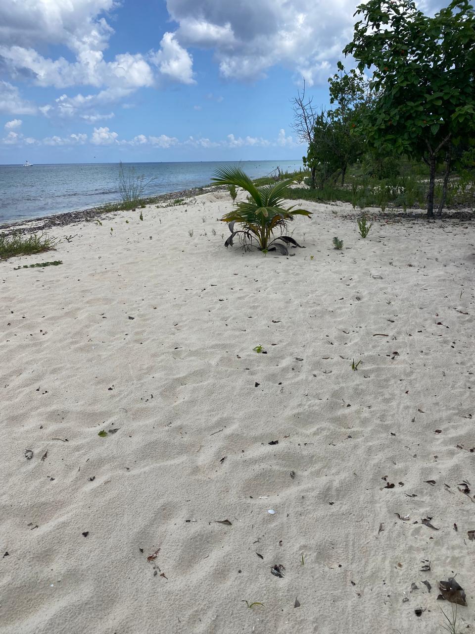 Lote 2 en la playa Palancar.