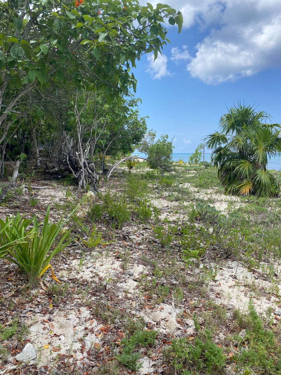 Lote 3 de playa Palancar.