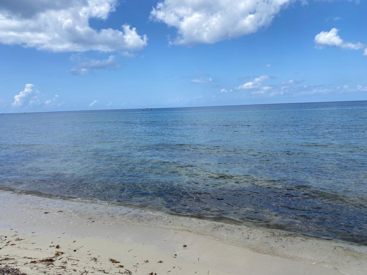 Lote 4 de playa Palancar.