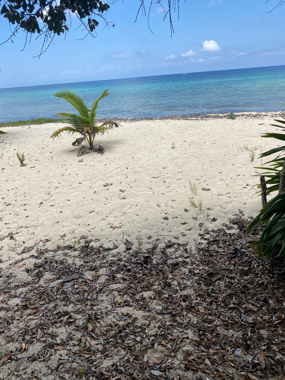 Lote 8 de playa en Palancar.